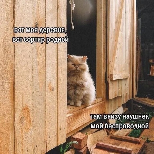 Картинки для деградации 46 (разной степени свежести)