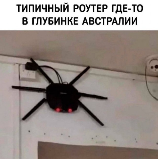 Картинки для деградации 53 (разной степени свежести)