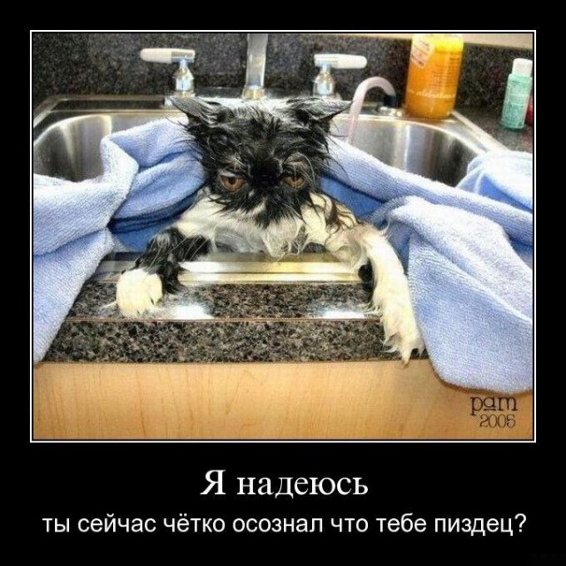 За секунду до...