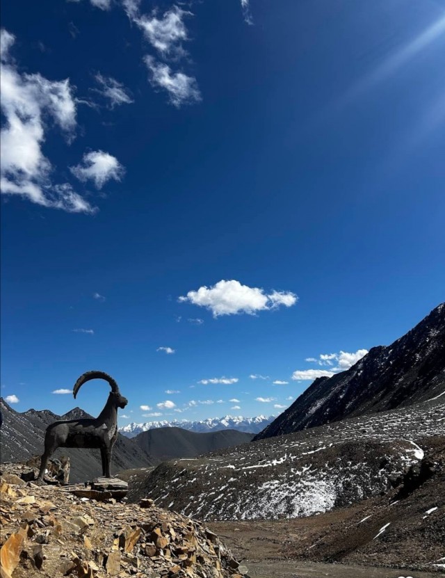 Каменные яйки козла с перевала Суек