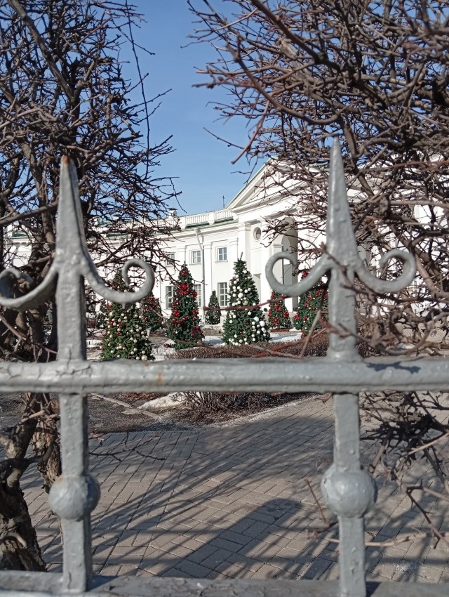 Москвичам к отключениям интернета добавили новогодний декор