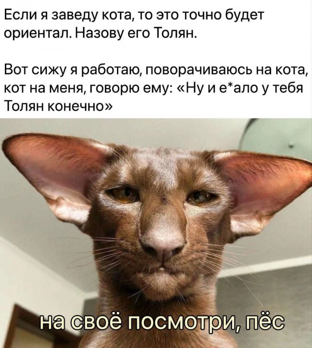 Картинки для деградации 184 (разной степени свежести)