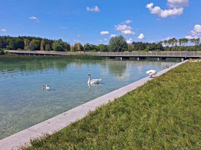 Если в Рейне нет воды...