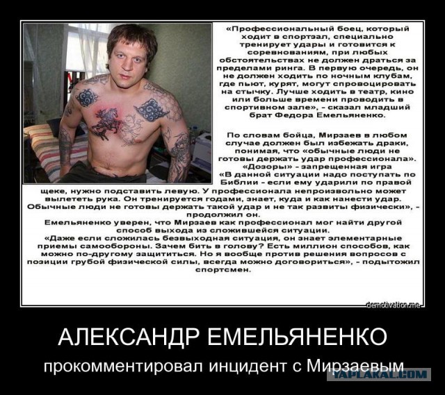 Александр Емельяненко избил мужчину
