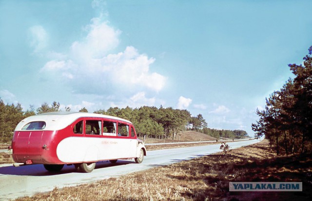Игра на ЯПе: Угадай АВТО-7