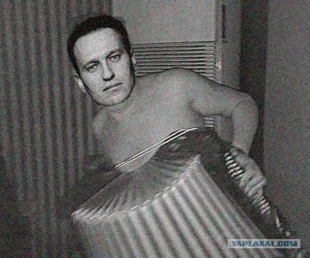 Алексей БАЯНальный