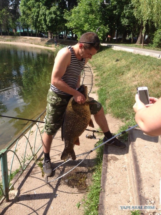 Мужик поймал не маленького карпа