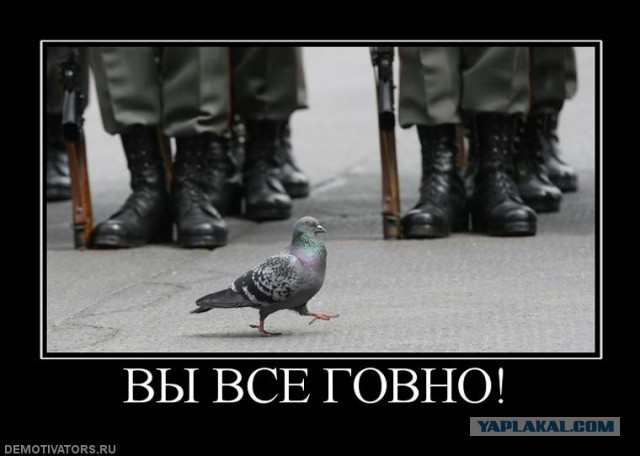Вадим Галыгин троллит телеканал "Дождь"