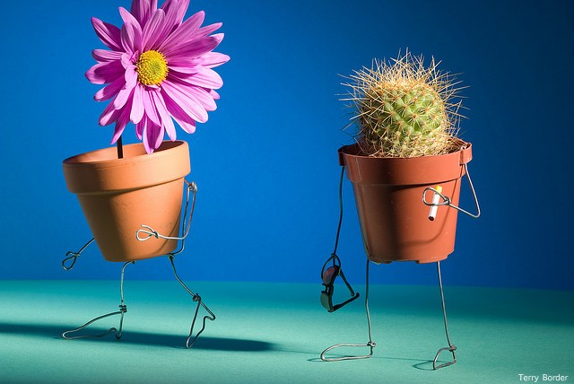 Мир гнутых фигур