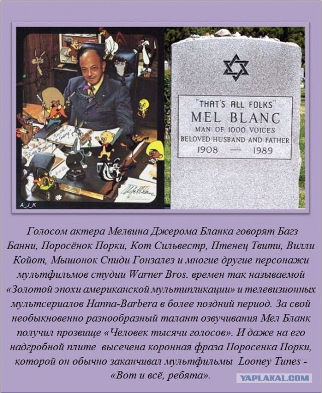 20 фактов обо всем