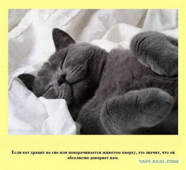 20 фактов обо всем