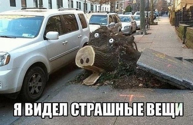 Картинки из инета