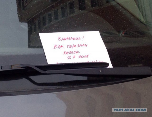 И зачем он это сделал? Очередной Гринписовец?