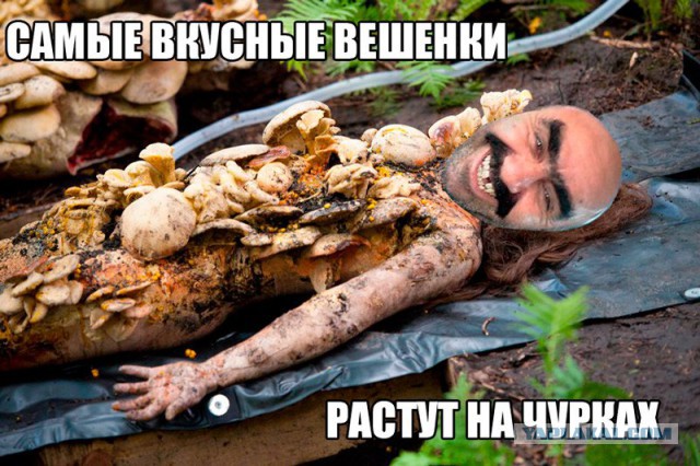 Ужасы и приколы из соцсетей 18+