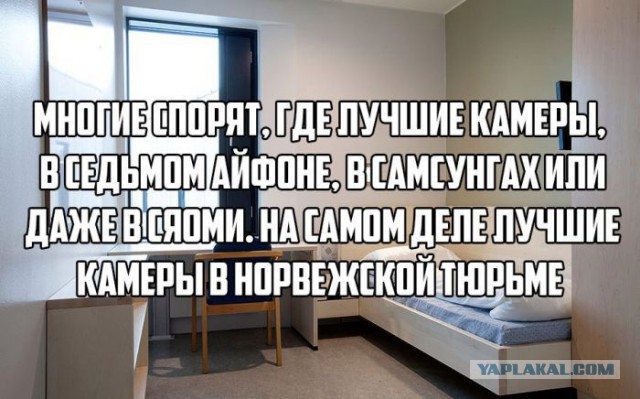 Юмор из соцсетей