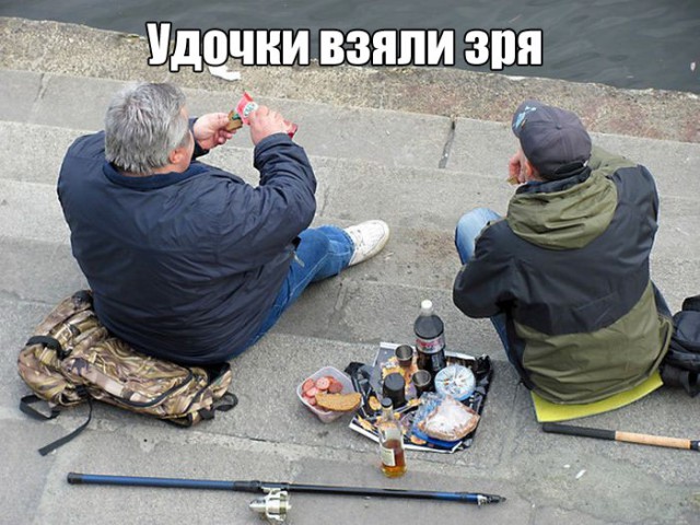 Подборка безудержного веселья
