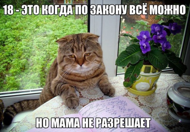 Всякие разные картинки