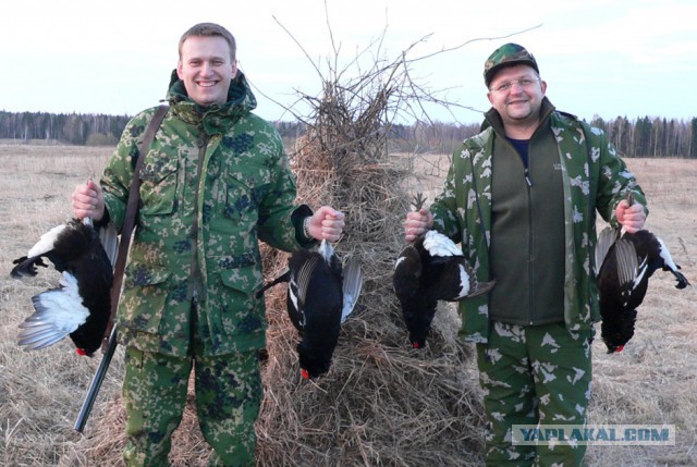 Государство против школьников и борьбы с коррупцией