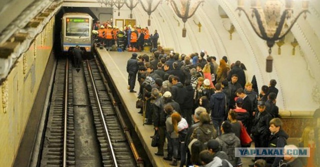 В Москве наградили патрульного, который, рискуя собственной жизнью, спас в метро упавшего на рельсы