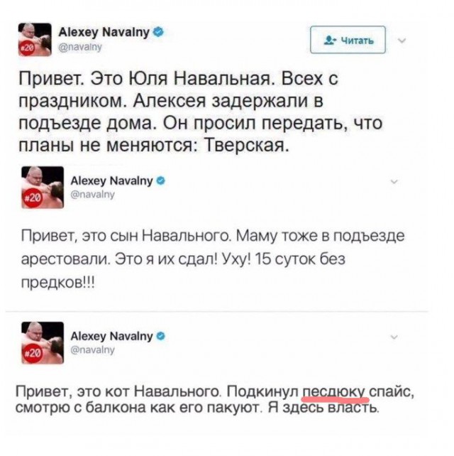 О власти котов. Как все было на самом деле