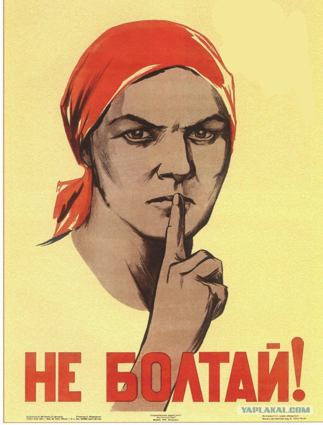 Неожиданные находки в глухом лесу