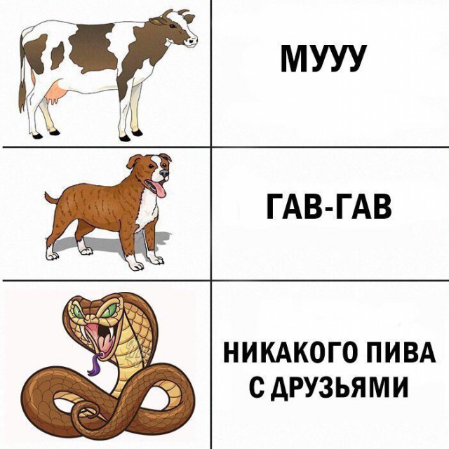 Подеградируем после рабочей недели