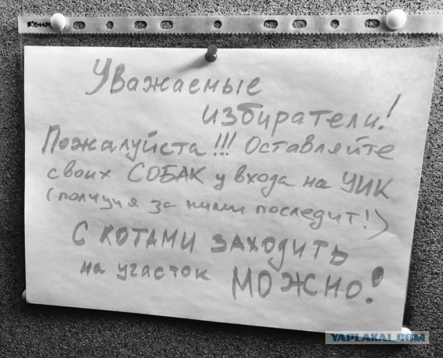 Итоги выборов online: обсуждаем "Выборы - 2018"
