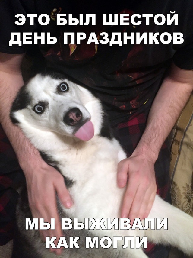 Прикольные картинки абавсём