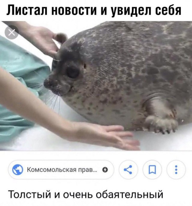 Немного картинок для настроения
