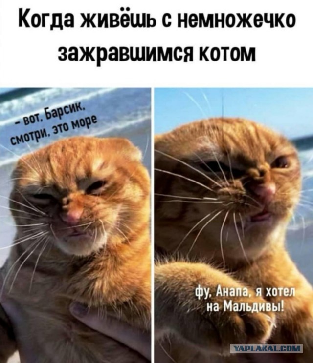 Бредзона 27.10.2020