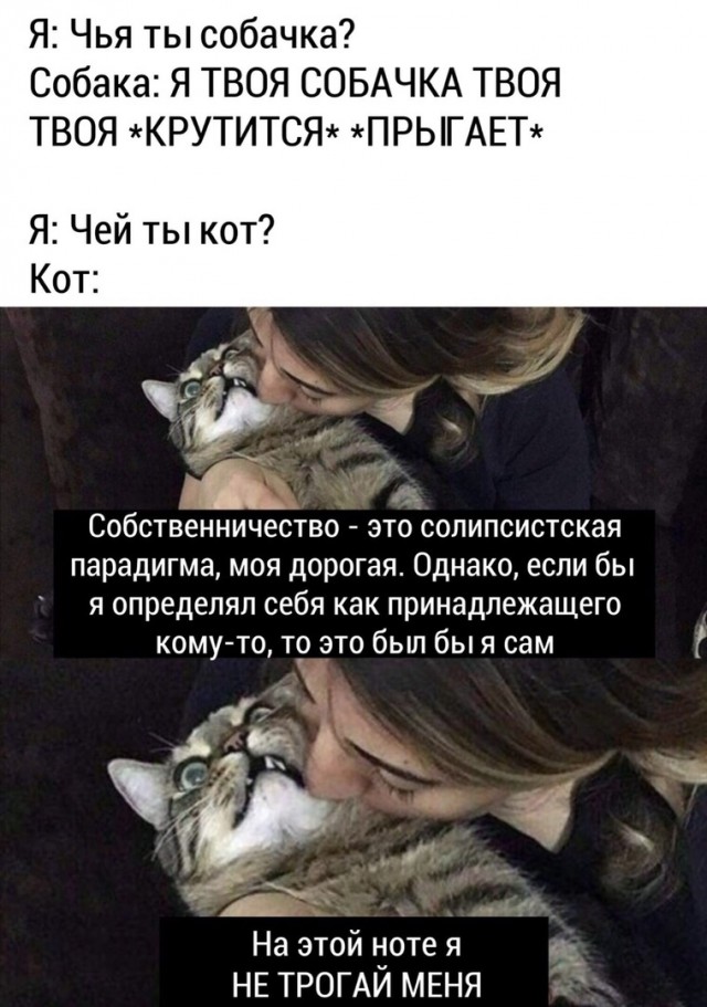 Так себе картинки 19.06.21