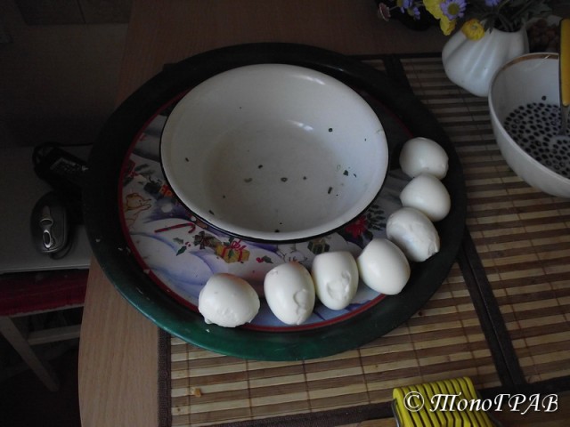 Пятничные посиделки на теплотрассе ©