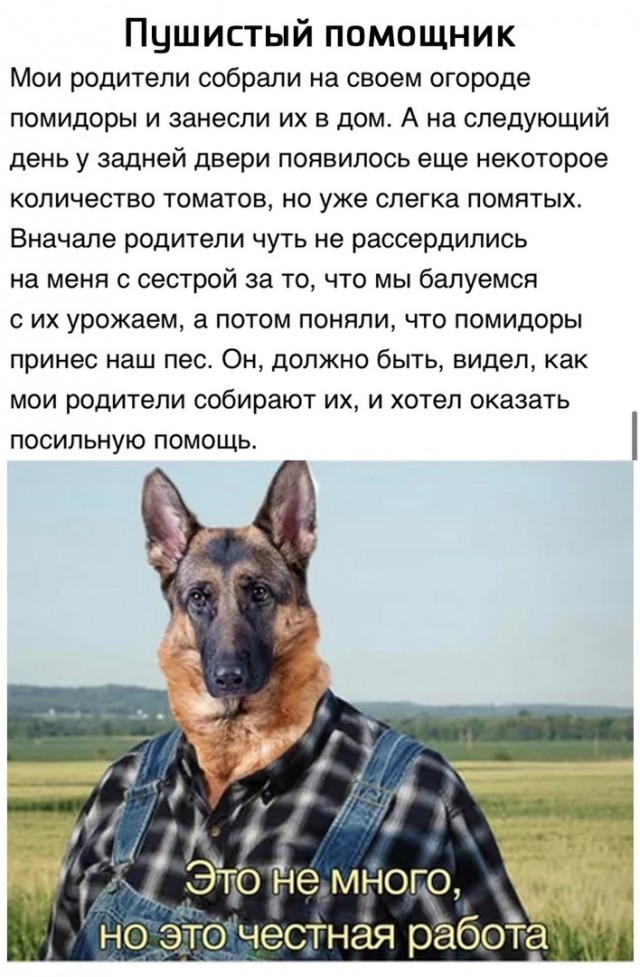 Так себе картинки 10.09.21
