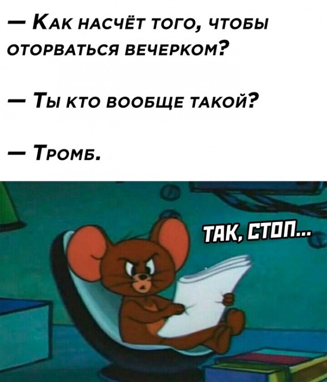 Весёлый полтишок 19.11.2021