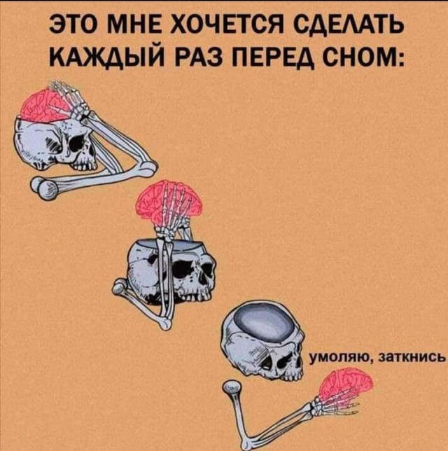 Всяческие картинки 22.11.2021