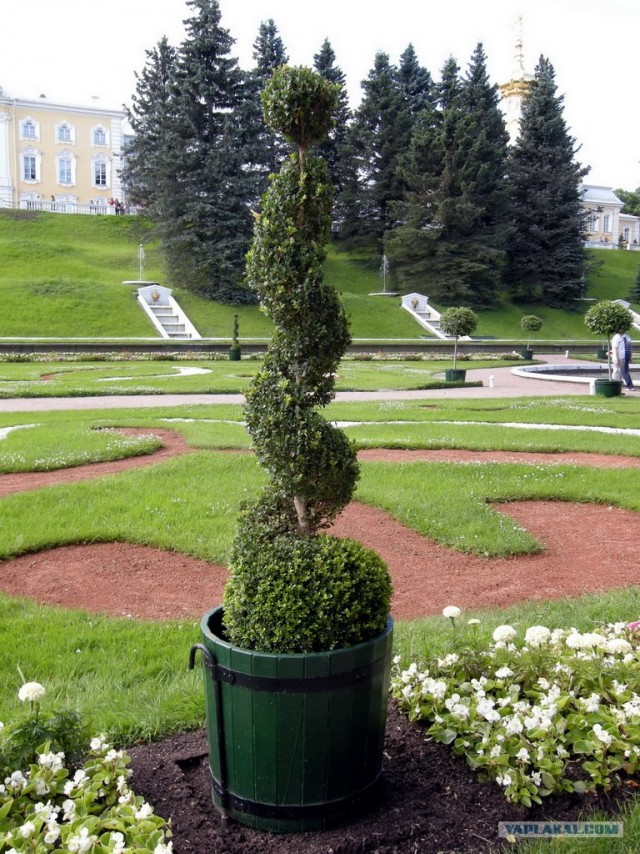 Парки и фонтаны Петергофа