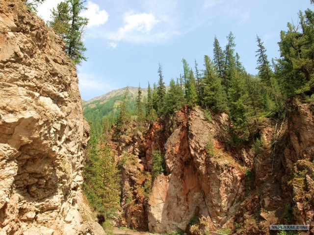 В ноябре на Алтае 2010г.