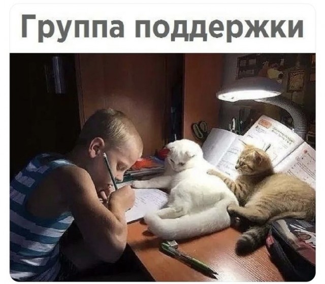 Весёлый полтишок 28.02.22