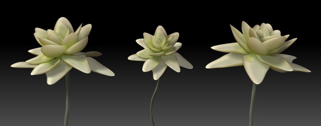 Я и ZBrush 4