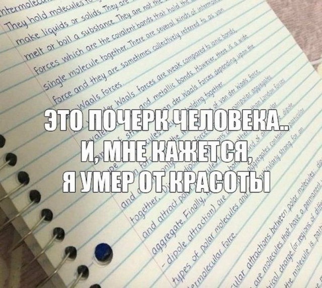 Картинки и мемы для настроения - 19