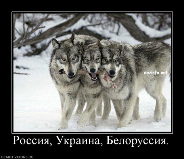 Рубрика "Баян-прибоян". Часть 2. Демотиваторы