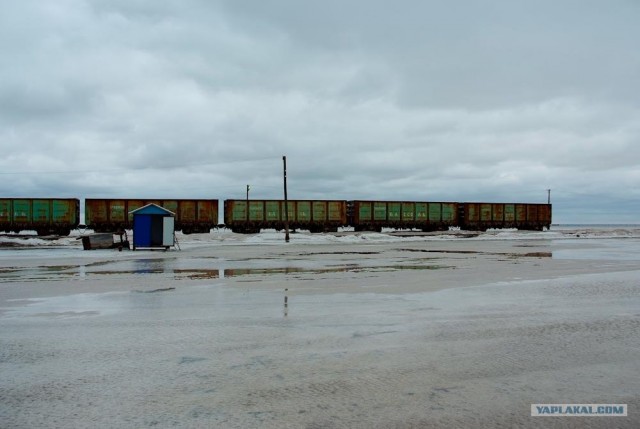 Вот в чем вся соль!