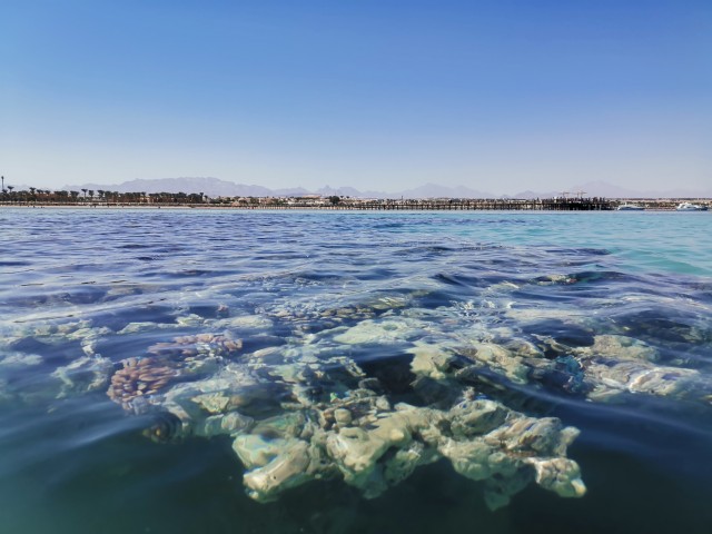 Поделимся красивыми фото с телефона?