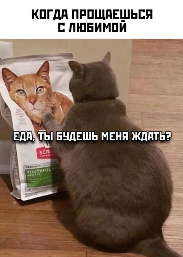 Немного мемчиков. Для взрослых. Часть 20
