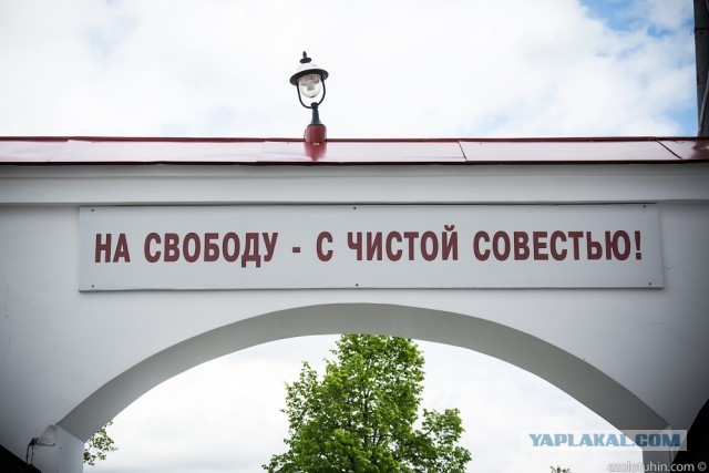 Победная поступь идиотизма по планете – том 7