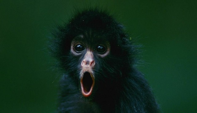 ⚡️Бараку Обаме закрыли въезд в Россию