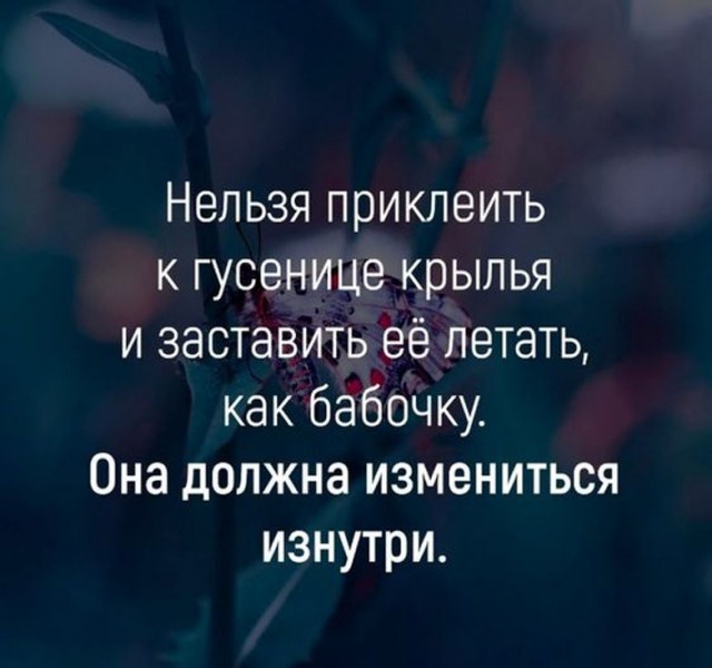 Прикольные и просто красивые картинки 30.06.2023