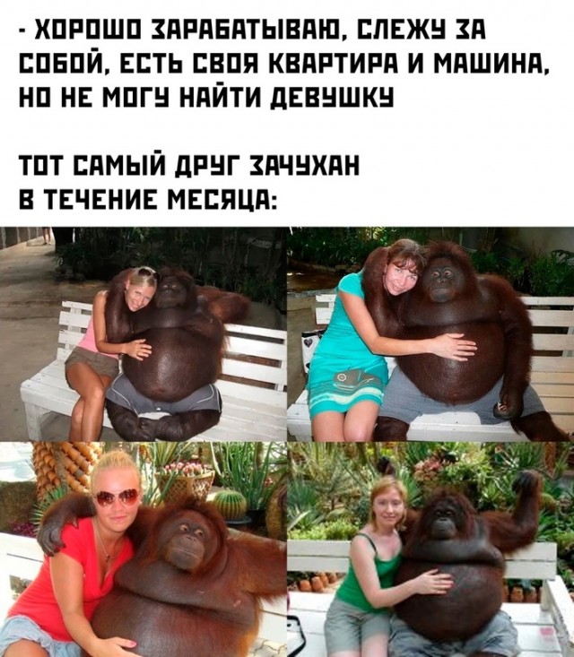 Весёлый полтишок 18.12.2023