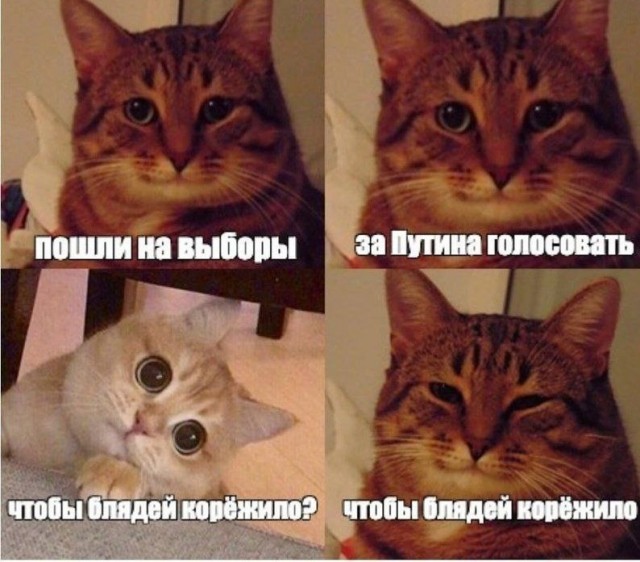 Кто за кого проголосовал?