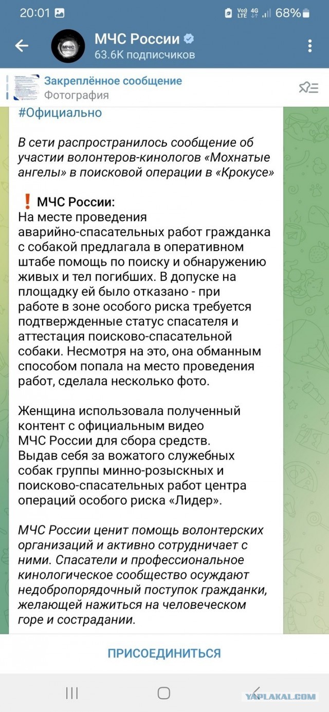 Побирушницы нажились на теракте в Крокусе